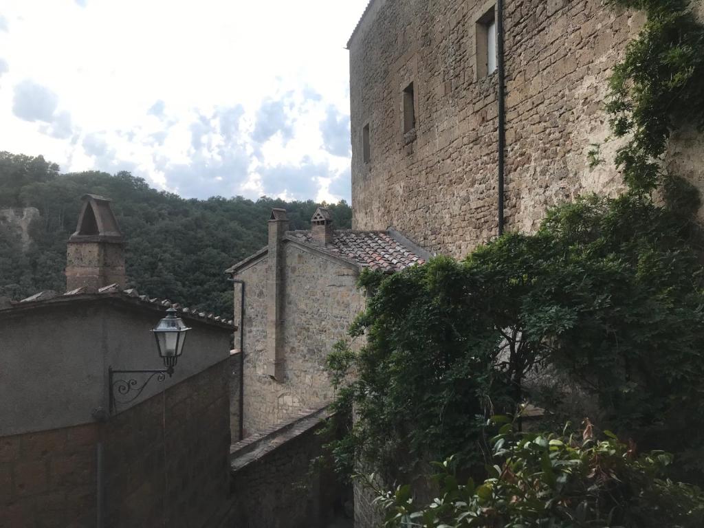 Vista
